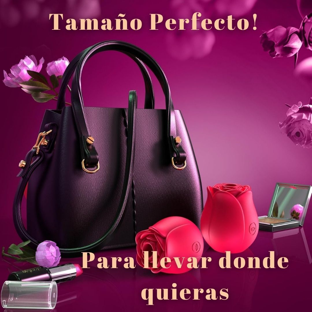 Rosa Del Placer 🌹